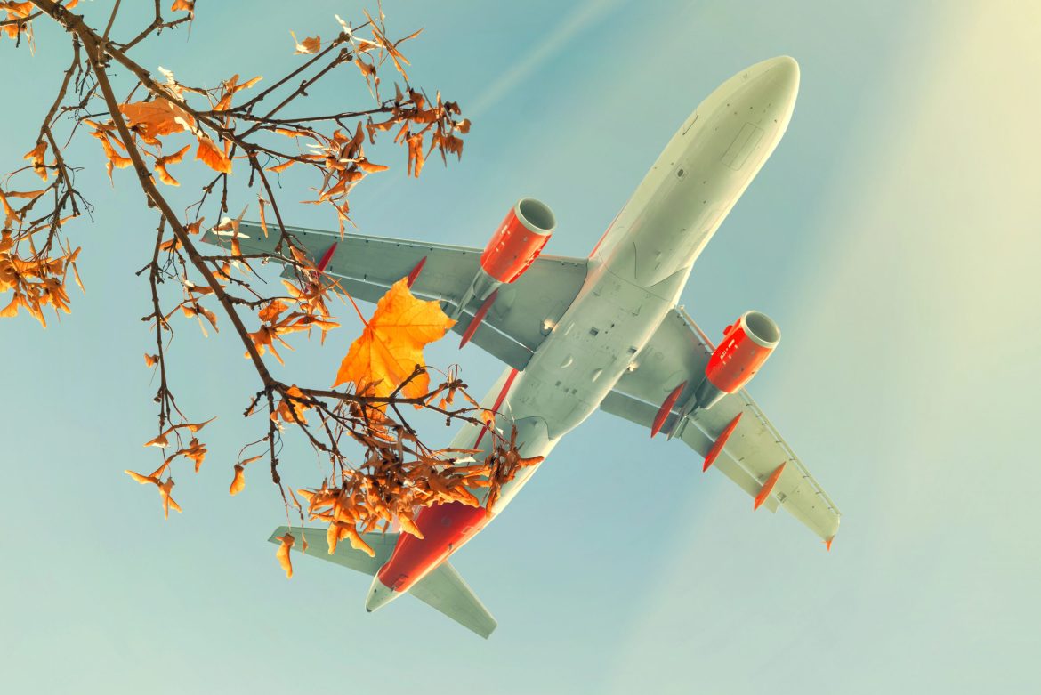 Autumn could be the perfect time for a new adventure. Image of a flying airplane with close up of autumn trees with orange leaves