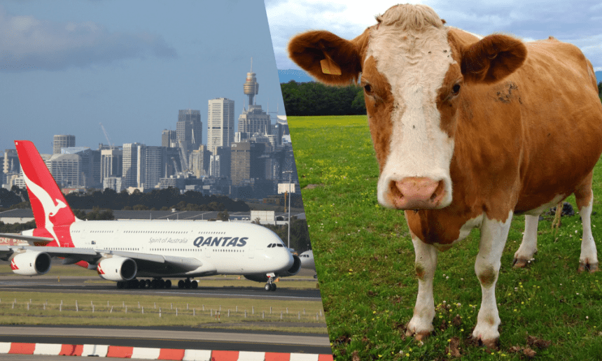 Foot and Mouth disease rocks Australian travel industry