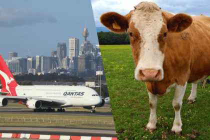 Foot and Mouth disease rocks Australian travel industry